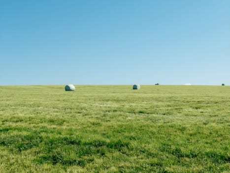 Bales of hay rest on a vibrant green expanse under a clear blue sky. The peaceful countryside setting captures the essence of rural life during the warm summer months.