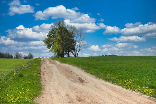 Scenic countryside scene with a dirt road surrounded by lush green fields, trees, and vibrant blue skies adorned with clouds, exuding natural beauty and serenity
