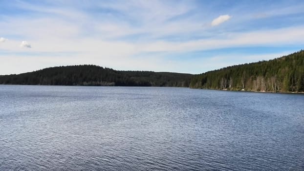 A serene view of a peaceful lake, bordered by dense forests and clear skies, perfect for nature lovers