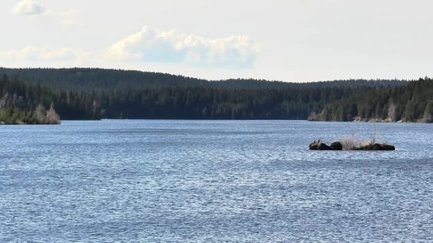 A breathtaking serene lake view that showcases calm waters and vibrant green forests on a beautiful sunny day