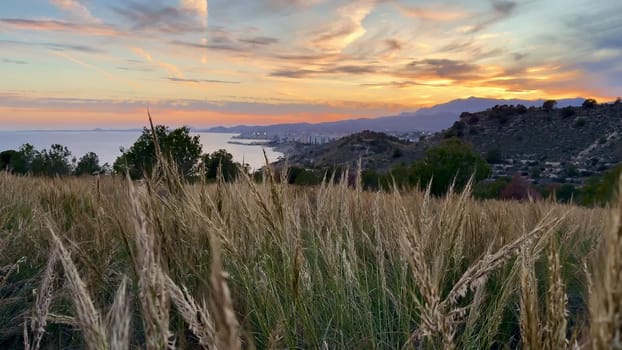 A breathtaking sunset is vividly illuminating a coastal scene adorned with waving grasses in the foreground
