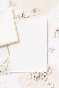 Blank paper card and envelope near white cherry flowers top view, copy space, mockup. Pastel vertical card for spring romantic wedding stationery or party design, Close to nature mood