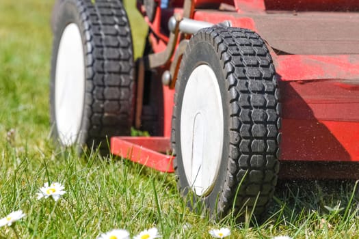Close up of wheels of red scarifier or lawn mower on wheels removing moss and cutting lush grass in bright garden on sunny day, petrol powered,