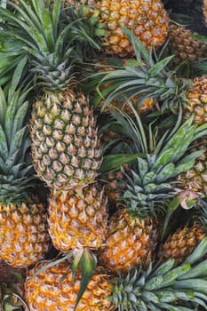 background with pineapples. Ripe tropical fruits on the market close-up