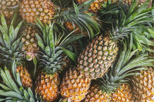 background with exotic pineapples. Tropical fruits on market