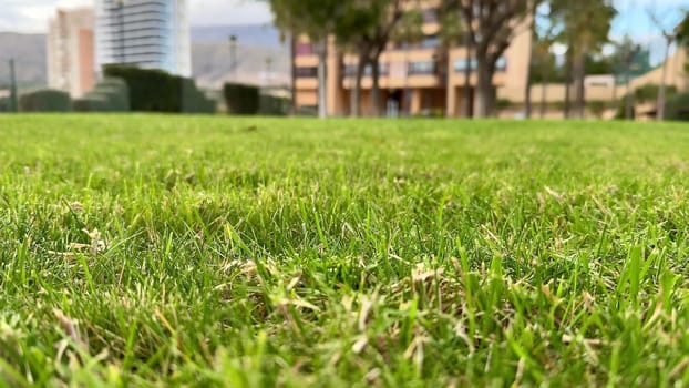 A parks green grass contrasts with modern buildings, offering a refreshing escape of charm and tranquility