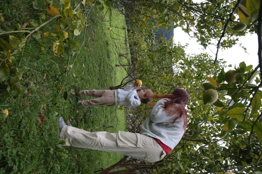 Mother and son harvesting lemons in orchard, cultivating family bonds and healthy lifestyle
