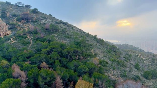Experience stunning views of coastal cliffs with vibrant green vegetation and the serene blue ocean beyond
