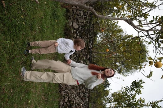 Mother and son harvesting lemons in a lemon orchard by a stone wall