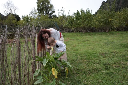 Mother and son enjoying the scent of a calla lily flower in a domestic garden