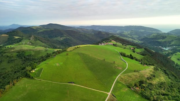 Breathtaking aerial footage beautifully captures vibrant greenery and rolling hills under a stunning cloudy sky