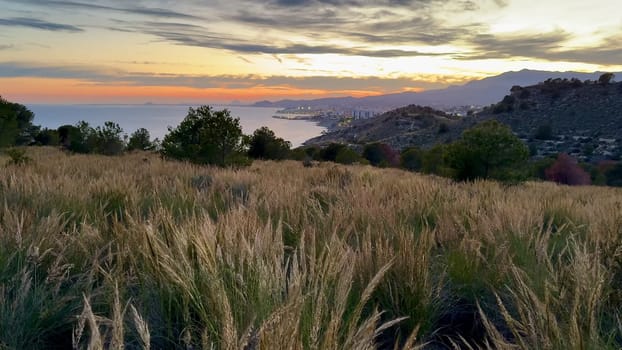 A breathtaking view of the stunning sunset illuminating the lush coastal hills adorned with golden grass