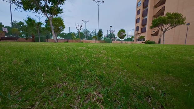 A beautiful and serene view of a park that features vibrant green grass, trees, and comfortable benches in the backdrop