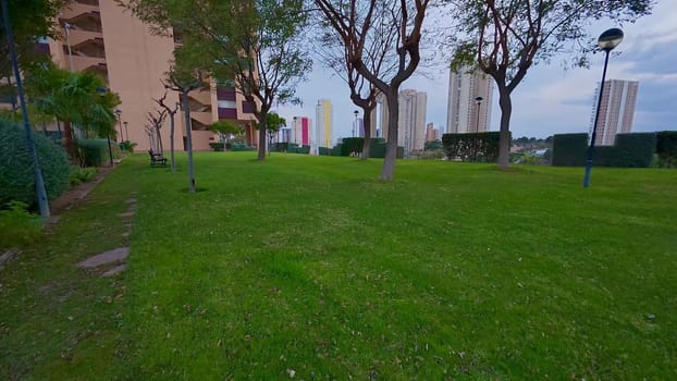 A serene and peaceful urban park with lush, vibrant greenery set against modern highrise buildings in the background