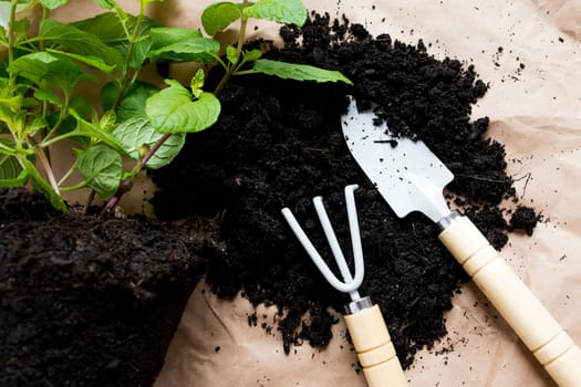 Gardening tools and fresh plant in rich soil on burlap background.