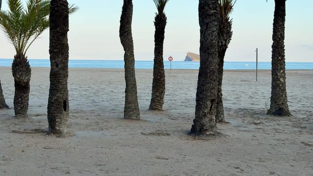A serene beach with palm trees, golden sand, and a stunning ocean backdrop. Ideal for relaxation and rejuvenation