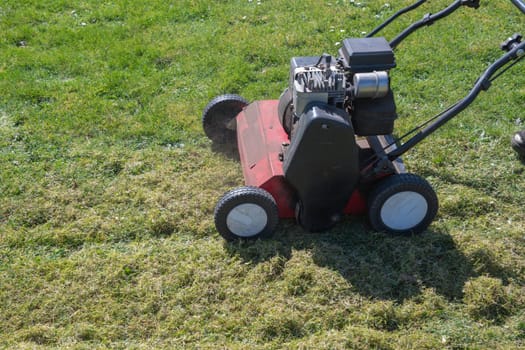 After frosts, the Gardener regularly Scarify the lawn from moss and tall grass, and combs it to saturate it with air for further growth,