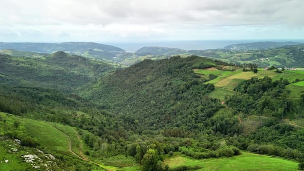A stunning panoramic view that beautifully showcases vibrant hills, lush greenery, and a serene ocean backdrop