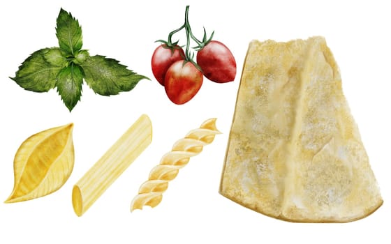 Cheese and pasta set watercolor. Hand drawn italian cheese, different pasta, tomatoes and basil on white background. Clip art food. Ideal for restaurant menus, recipe books and farm dairy product packaging. High quality illustration