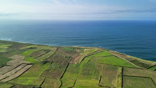 Experience a breathtaking and stunning aerial view of the vibrant green fields alongside a serene ocean landscape