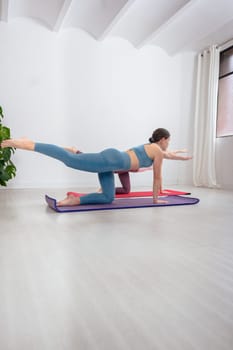 Two caucasian women practicing the bird dog yoga pose indoors on mats. They focus on balance, core strength, and flexibility in a calm, bright space. Healthy lifestyle and wellness training session