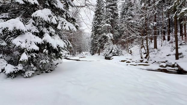 A tranquil winter scene showcasing a beautiful snowcovered pathway intertwined with trees, ideal for seasonal themes