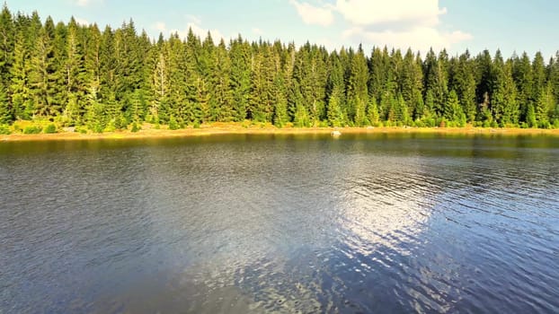 A stunningly tranquil view of a beautiful lake bordered by lush green pine trees under a perfectly clear sky