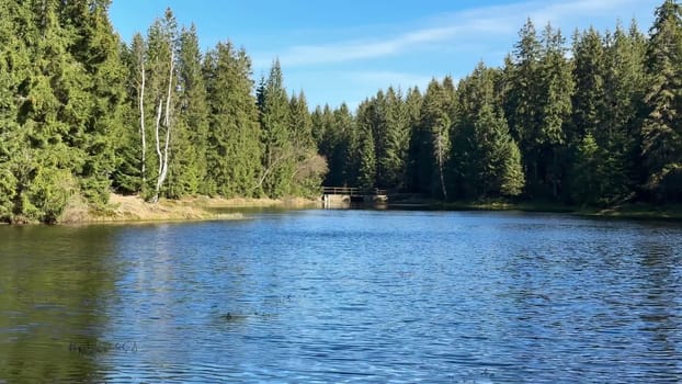 A tranquil river scene gracefully framed by towering evergreens set beneath a brilliant clear blue sky