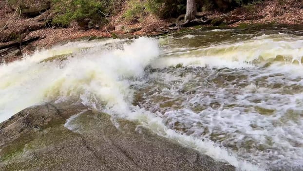 Experience the powerful movement of the rivers rapids cascading over rocks in a tranquil forest setting