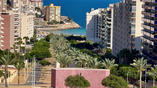 A breathtaking view of a stunning coastal cityscape showcasing beautiful palm trees and sparkling azure waters