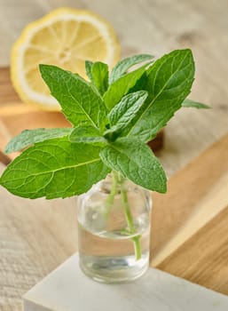 Fresh mint sprigs in a small glass bottle with water, placed on a wooden surface, with a blurred lemon slice in the background.