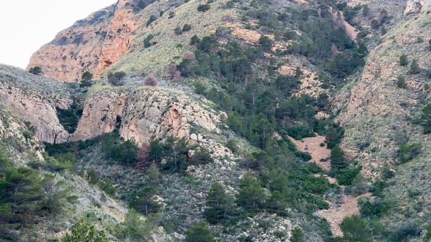 Explore the stunning rocky hills adorned with lush greenery, perfect for outdoor adventures and photography