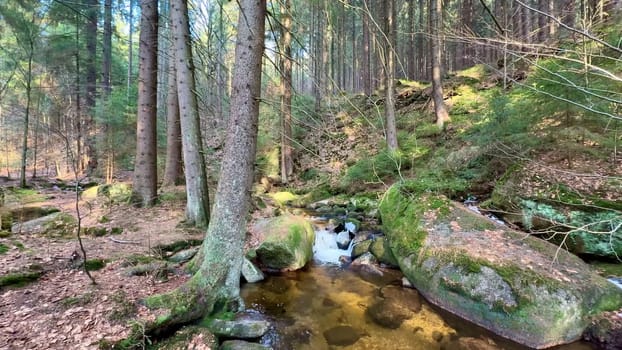 A tranquil forest stream surrounded by trees, rocks, and vibrant moss, perfect for nature enthusiasts.