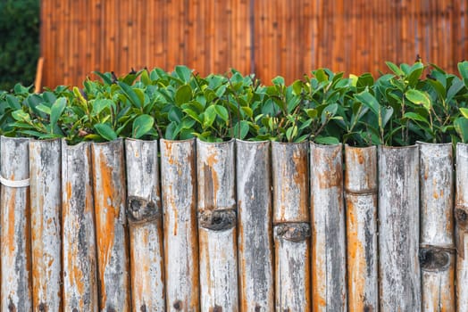 decorative natural bamboo fence for garden plants in Asia