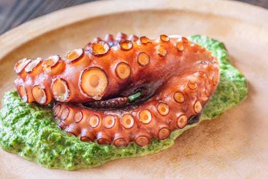 Tender roasted octopus paired with warm creamy spinach, elegantly plated in rustic style