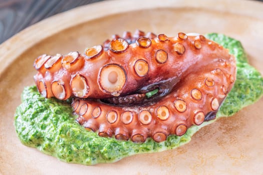 Tender roasted octopus paired with warm creamy spinach, elegantly plated in rustic style