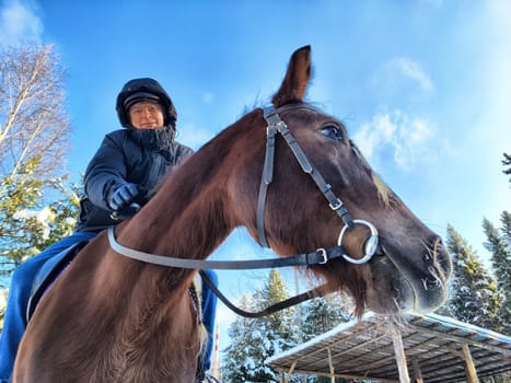 A person enjoys horseback riding in a snowy setting, dressed in warm clothing. The horse stands calmly against a backdrop of trees under a clear blue sky.