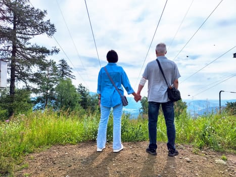 Two individuals stand together at a mountain overlook, holding hands and gazing at the beautiful landscape under a cloudy sky.