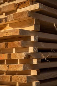Detailed view of freshly sawn wood planks stacked outdoors, showing grain, texture, and rough-cut edges in warm golden sunlight with visible fibrous surfaces.
