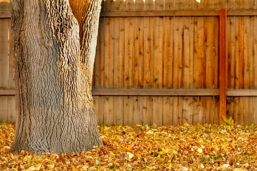 A tree trunk is leaning against a wooden fence. The leaves on the ground are yellow and brown