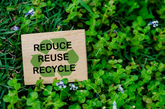Reduce, Reuse and Recycle text on wooden block. Recycling concept