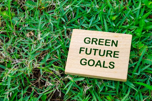 Green Future Goals text on wooden block with customizable space for text. For a greener tomorrow concept