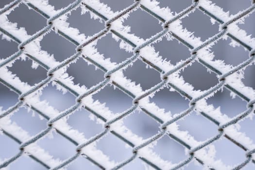 Closeup of a wire mesh fence covered in frost, showcasing sharp white hoarfrost crystals. Captures the geometric pattern and texture of frozen winter detail.