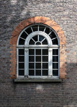 London, UK - May 08, 2025 - Semi oval mullioned frame window in a Red brick building covered with Climbing plant the top Red brick wall. The sunshine lights through the glass window frame exterior of old house, use it as your Wallpaper, Poster and Space for text, Selective focus.