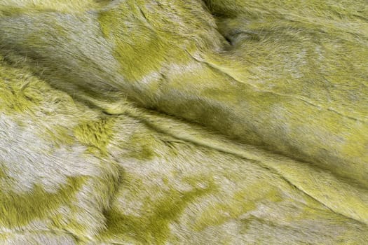Soft green texture of fluffy fur, warm and pleasant to the touch surface, ideal for cold winter period or creating a cozy atmosphere in the interior,