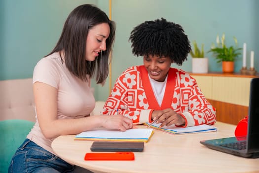 Caucasian and African American students work together using a laptop and notebook. Focused and cheerful, they collaborate in a cozy indoor space, representing learning, diversity, and teamwork.
