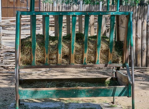 Rustic green metal hay feeder filled with dry hay. Outdoor agricultural equipment for farm animal feeding in a rural setting.
