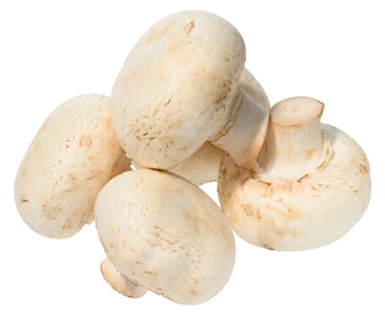 Fresh white button mushrooms piled on white background. Close-up of edible Agaricus bisporus fungus