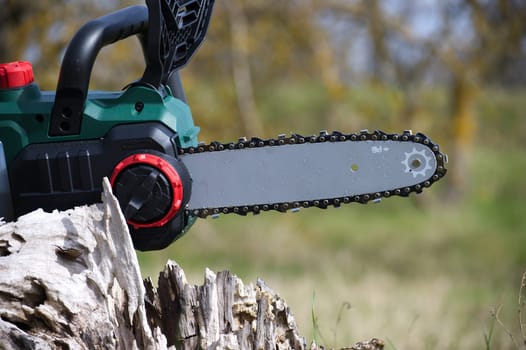 A detailed view of a modern green and black chainsaw, resting near a weathered tree stump, ready for use in the outdoors.