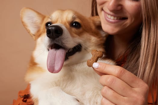 Close-up of a happy Corgi dog eagerly waiting for a bone-shaped treat held by smiling woman, joyful pet moment.
